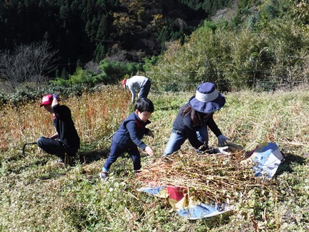 画像：僕もお手伝いです