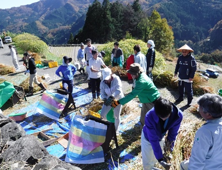 画像：みんなで頑張りました