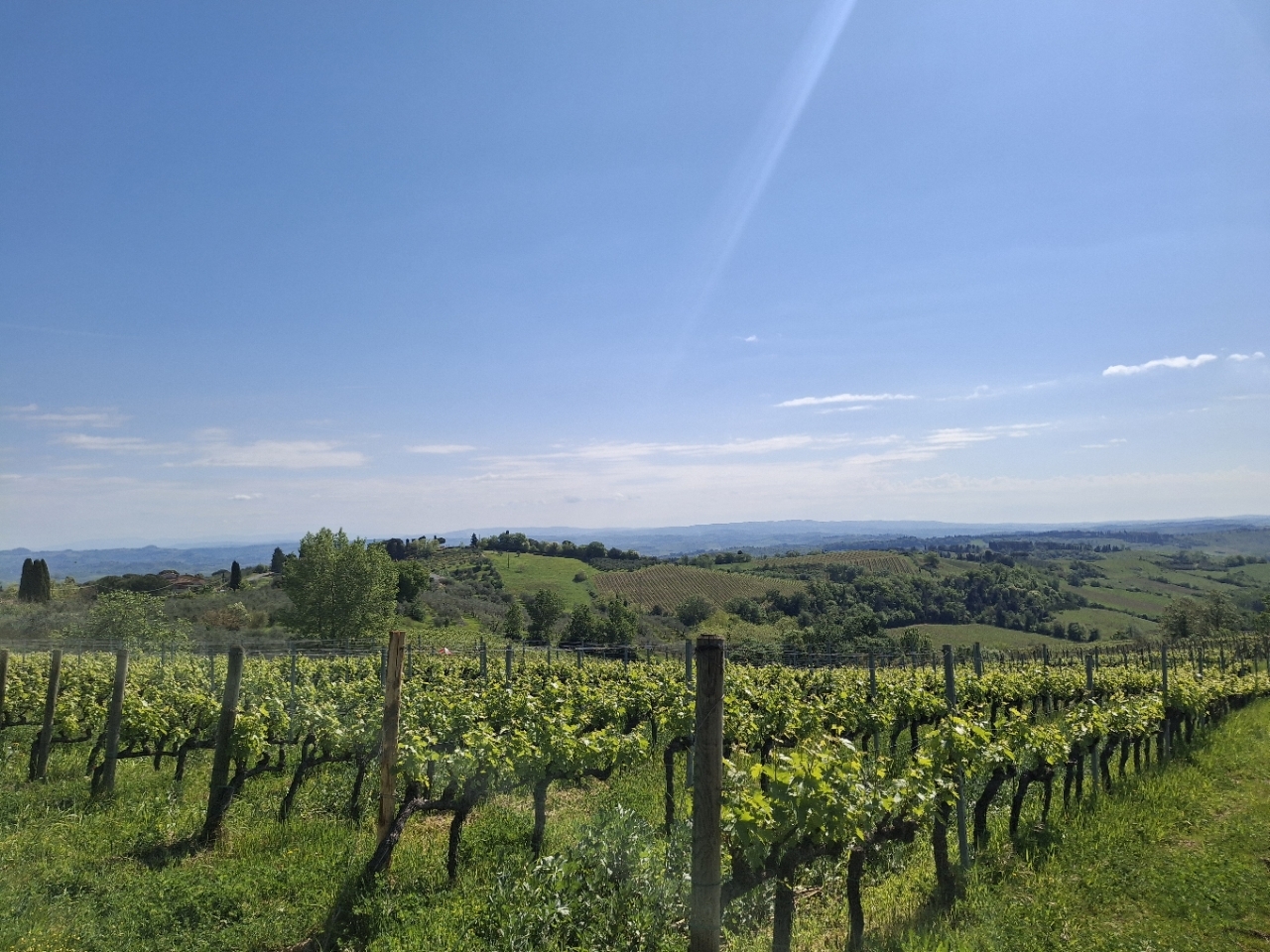 駐在員だよりR8.4月_3