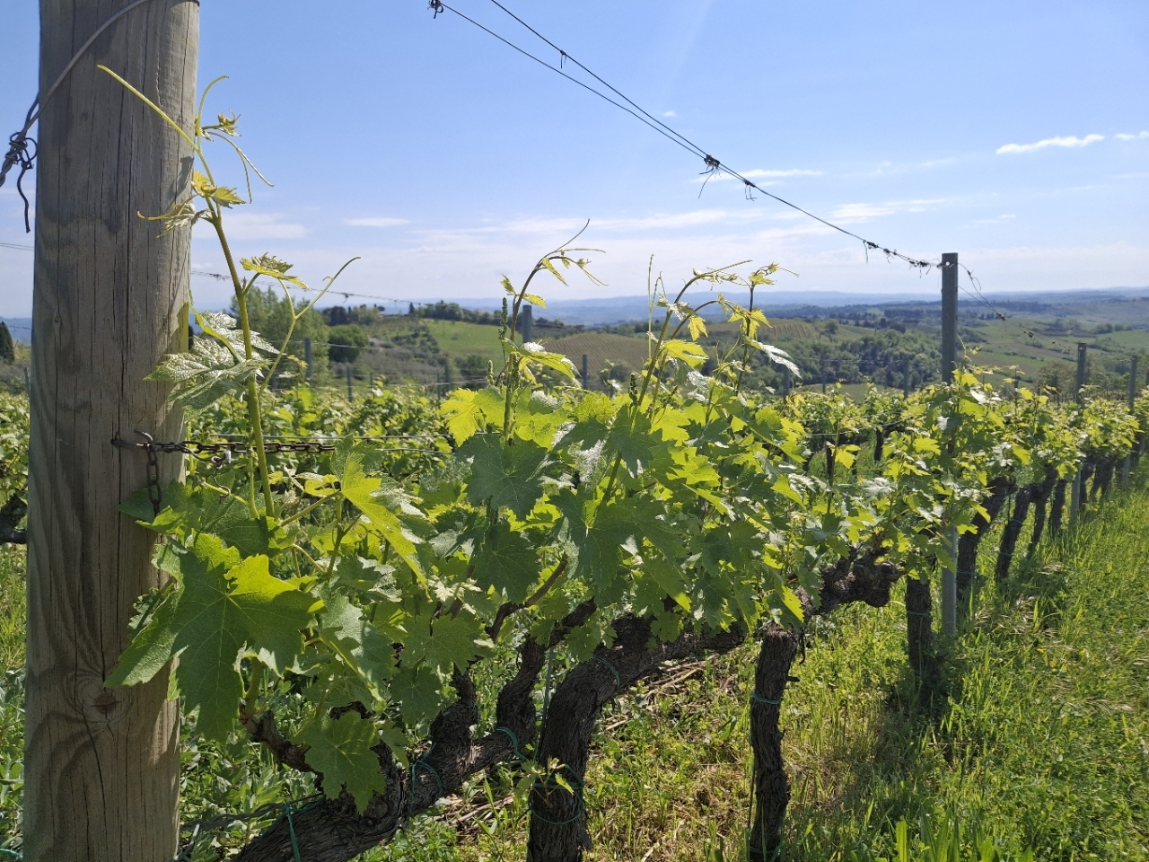 駐在員だよりR8.4月_4