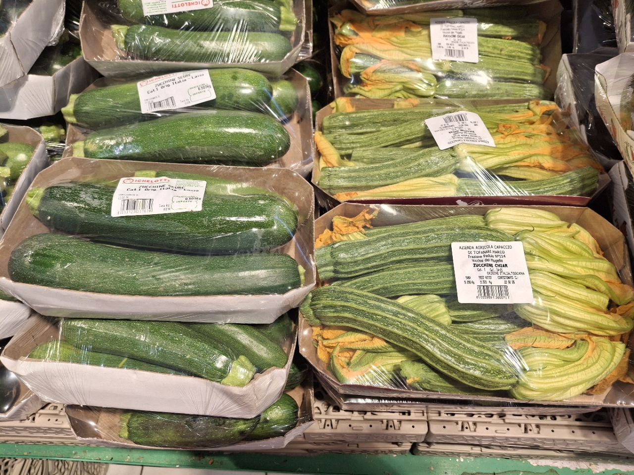 イタリアのズッキーニ(右 花付き 左  ノーマルタイプ).jpg