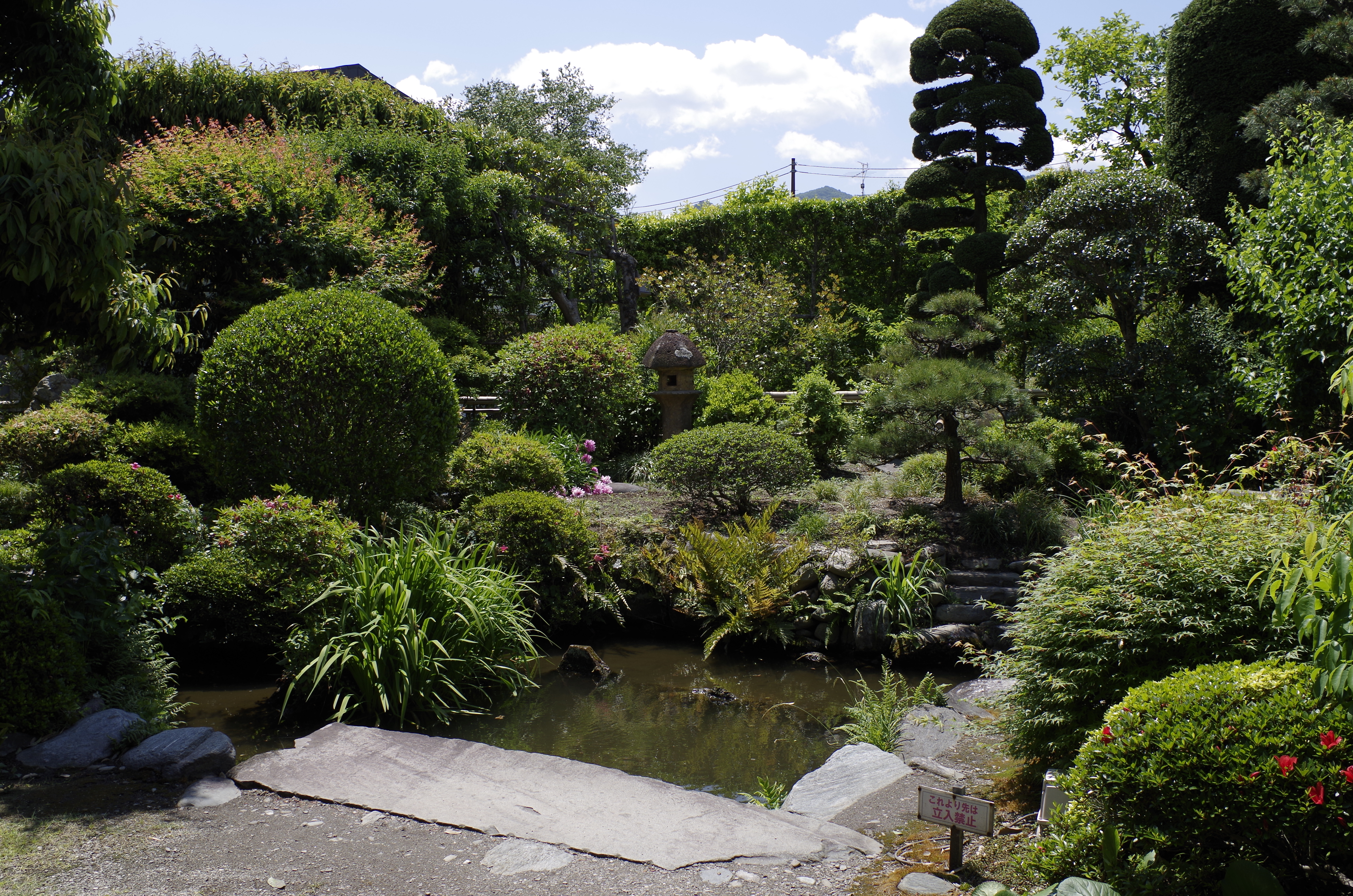 高橋家(朝日印刷撮影).JPG