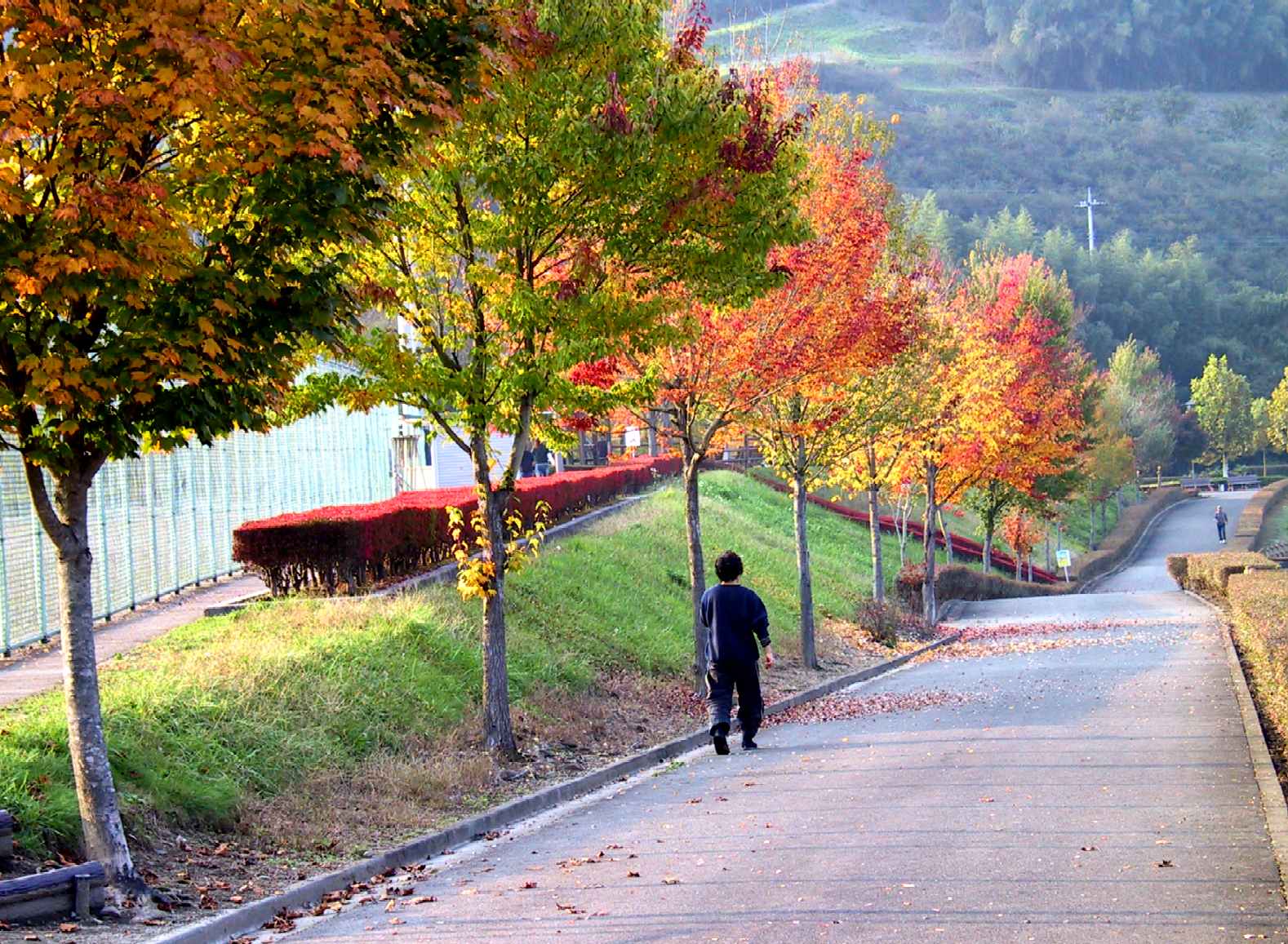  甘楽野球場の脇を通って甘楽ふるさと館へ