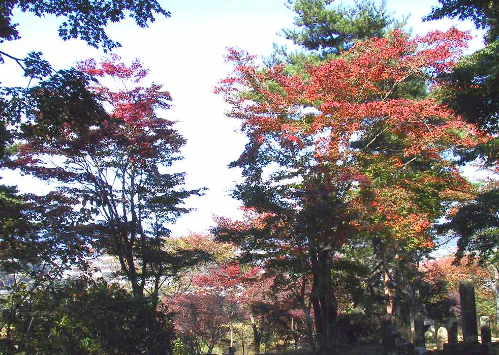 紅葉が始まったばかりの紅葉山