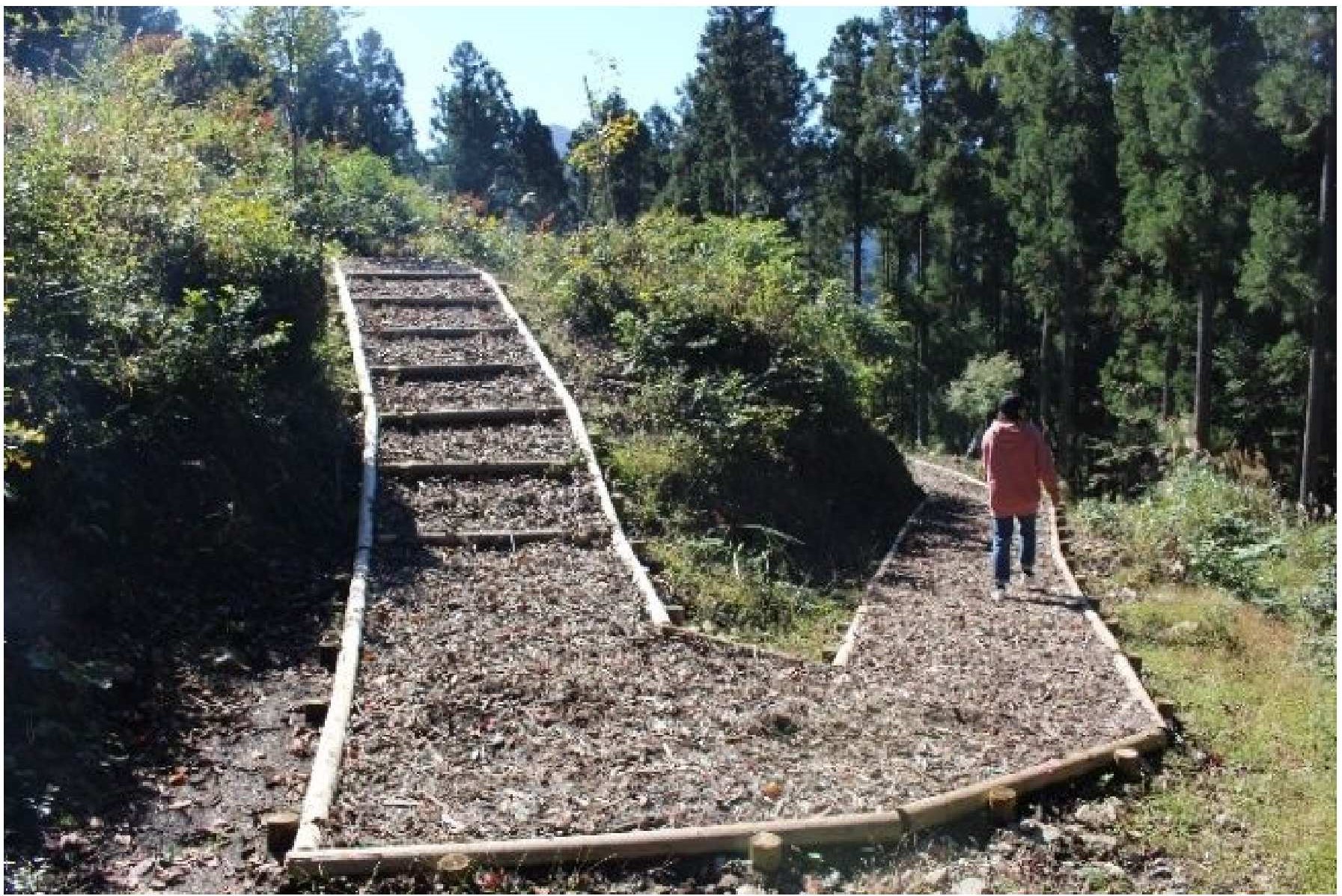 画像：管理歩道（木材チップ敷）