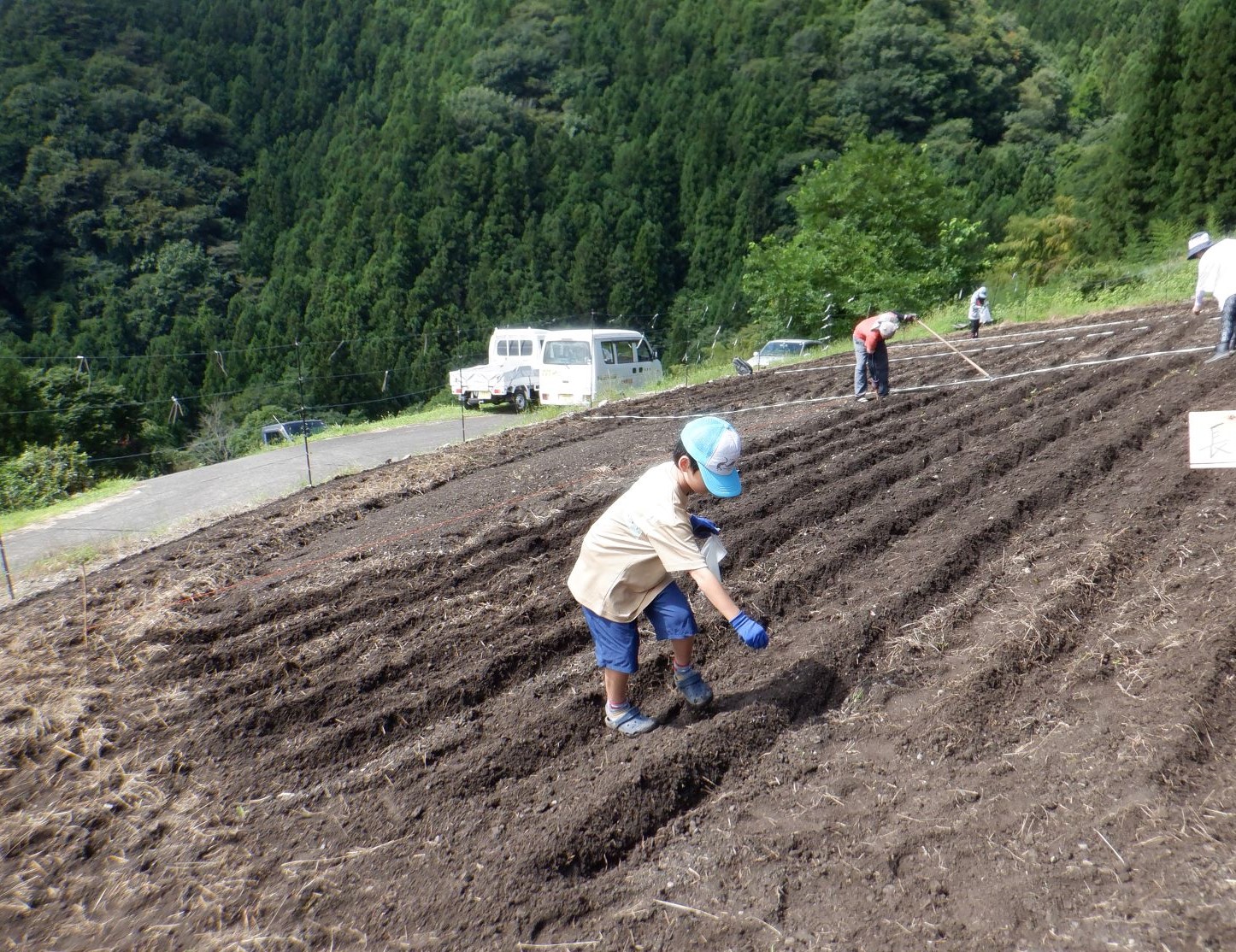 画像：種まき様子