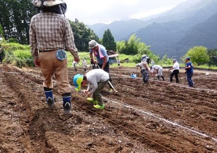 画像：ぼくもお手伝いです