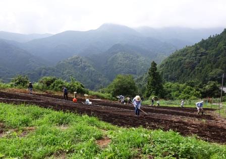 画像：作業風景