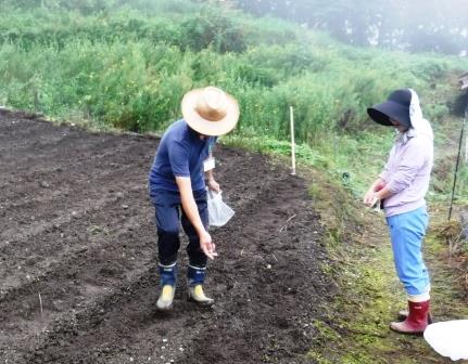 画像：お父さん頑張って！