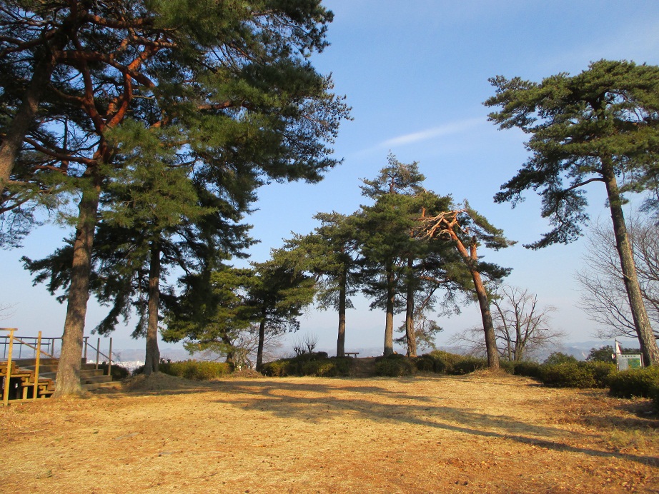 H26.1.26八幡山公園