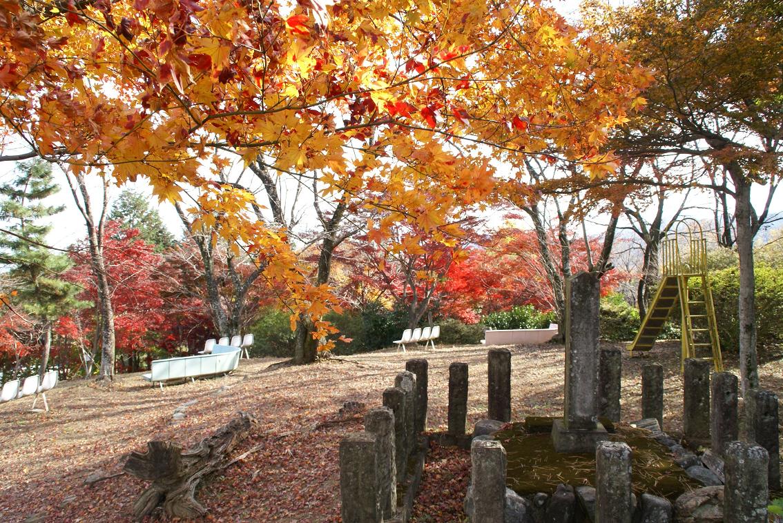 画像：紅葉山公園