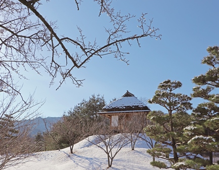 令和４年３月号表紙