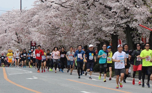 桜を眺める余裕は？　10km・20kmのランナー