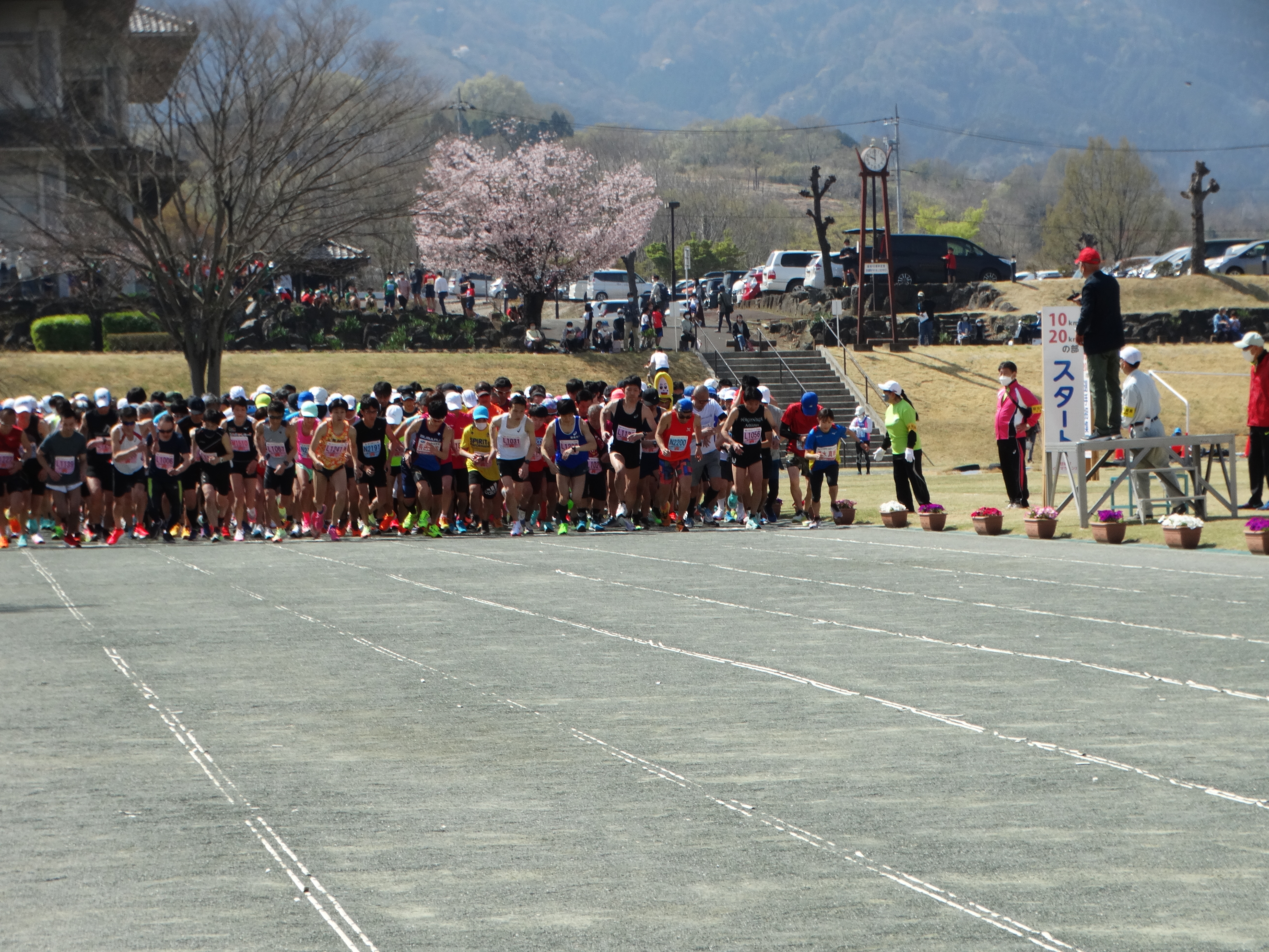 茂原町長の号砲でスタート！(10km20kmｴﾝﾄﾘｰ選手)