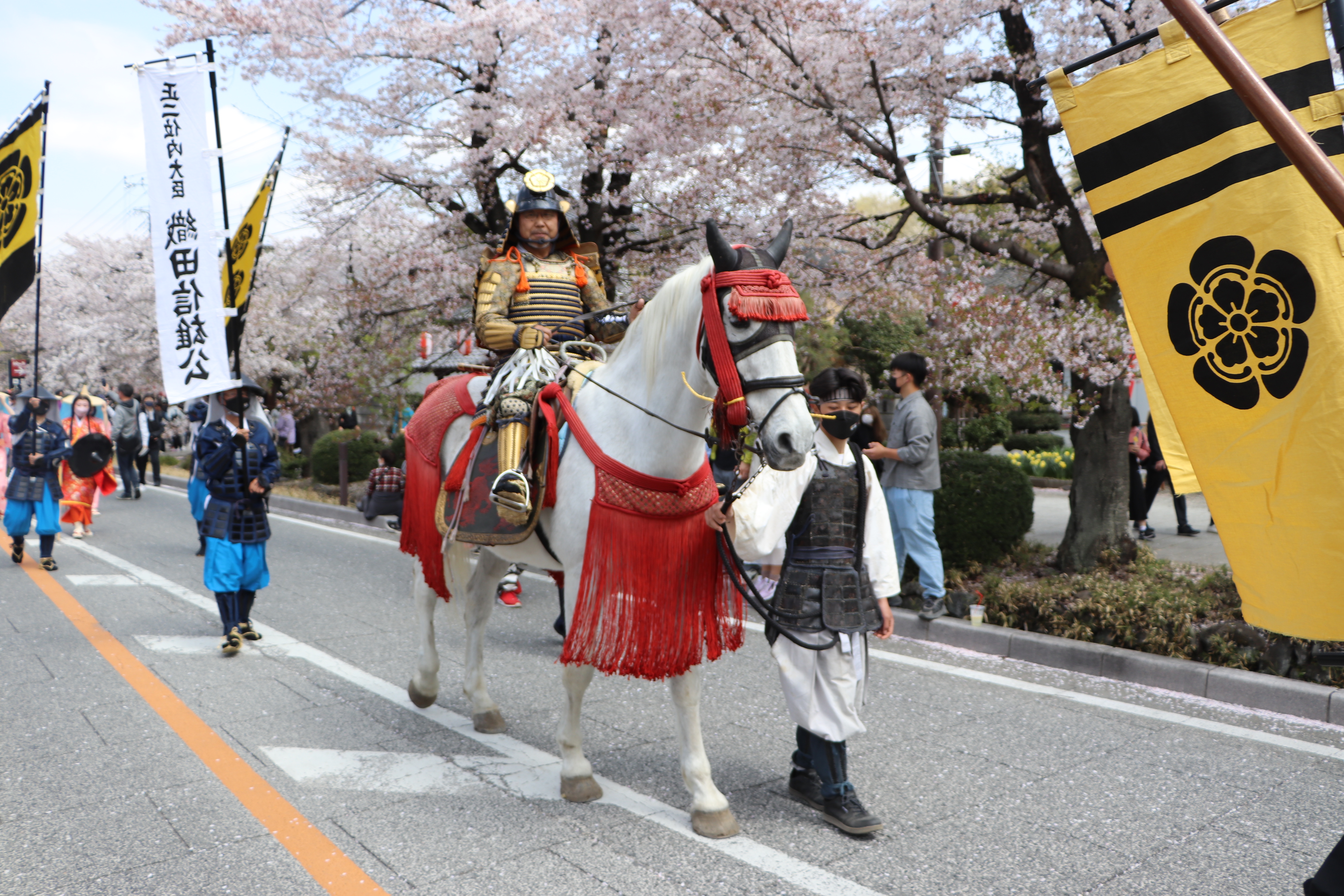 総大将　織田信雄公