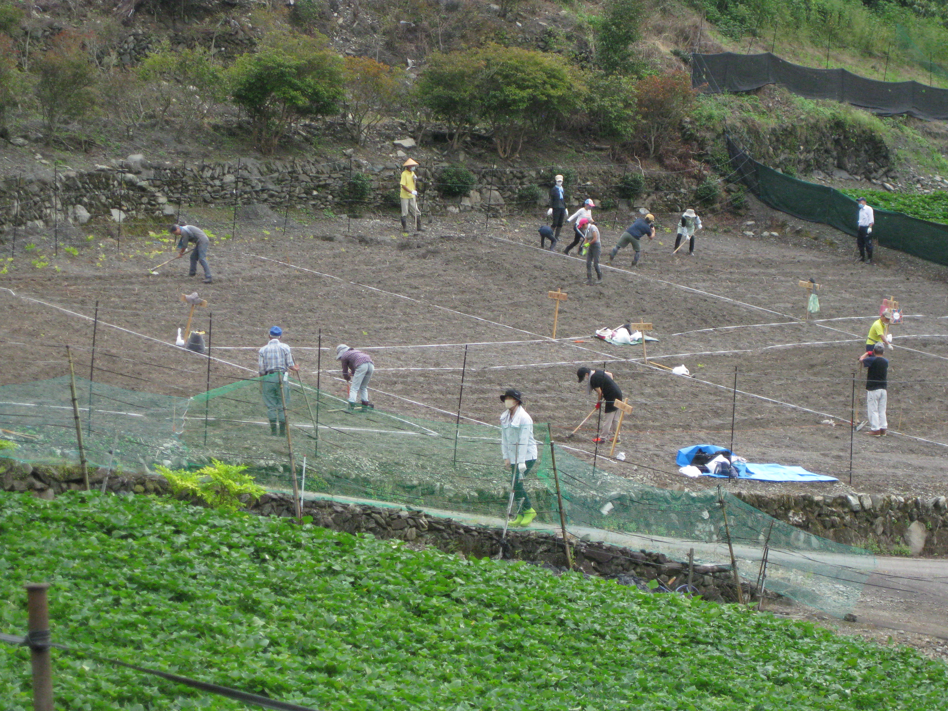 区画ごとに作業です