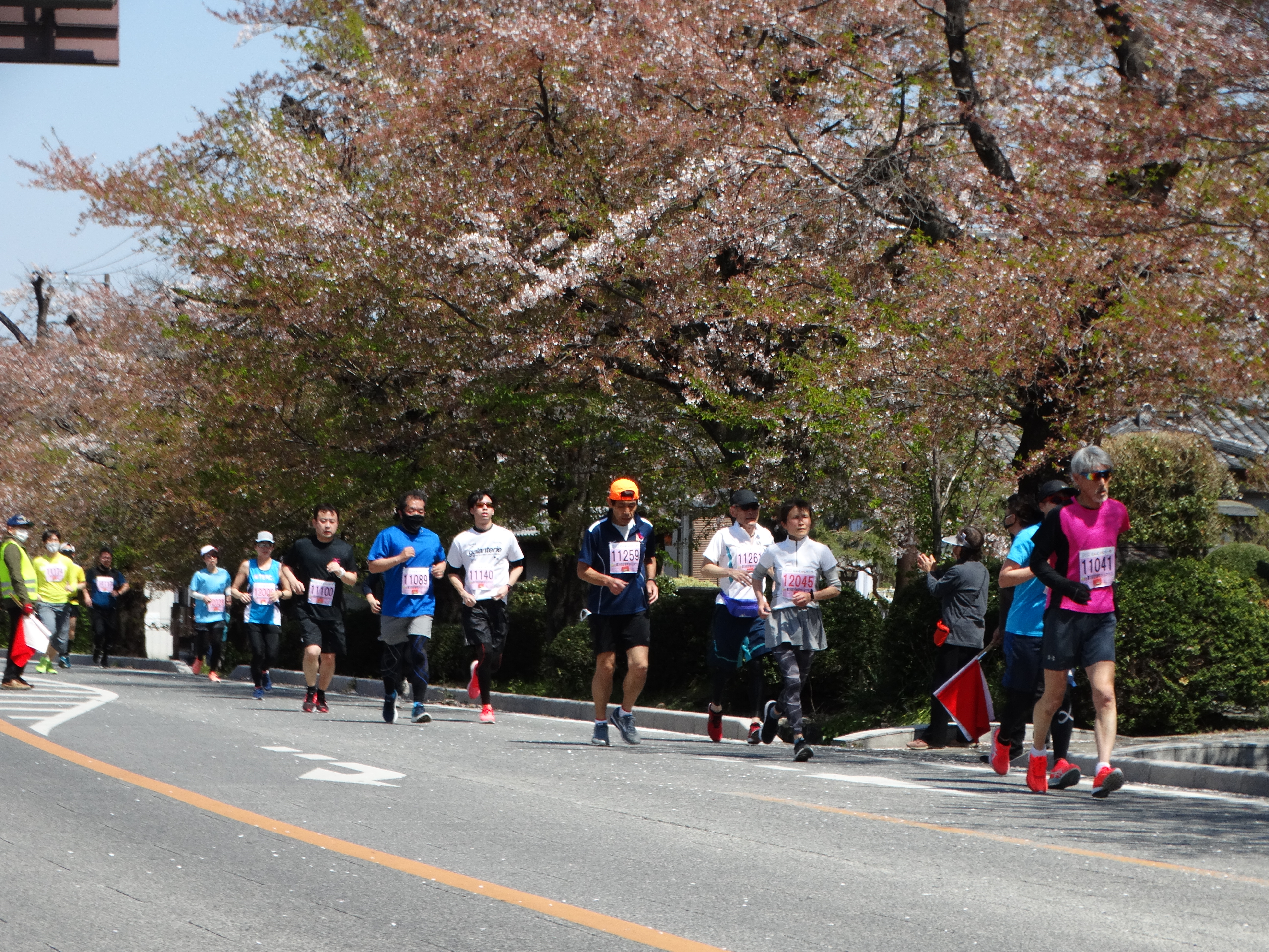 小幡桜並木を走る選手の皆さん