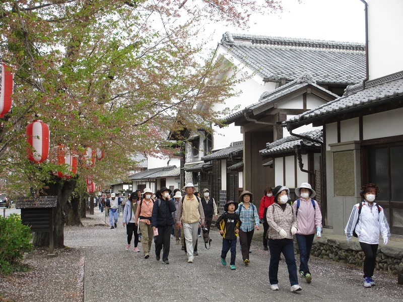 20180407桜並木