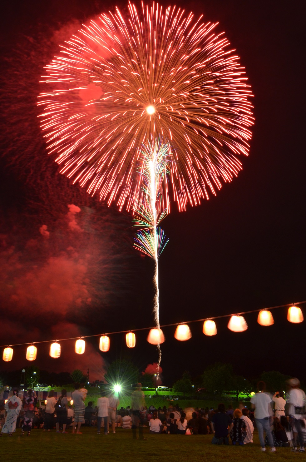 夜空に打ちあがった大輪の花火