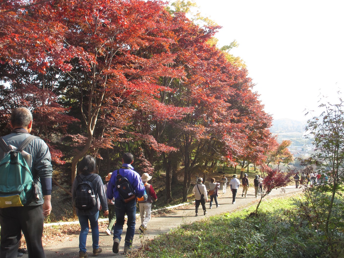 紅葉山からふるさと館へ向かいます