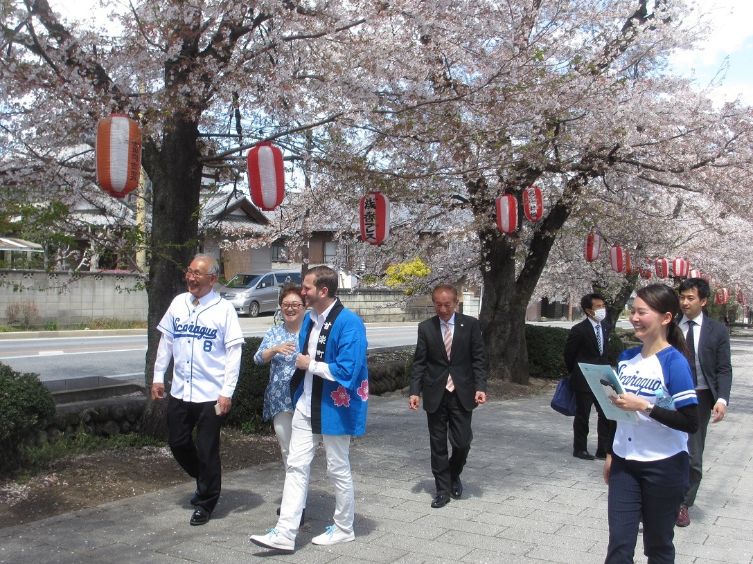 城下町小幡の桜並木をご案内