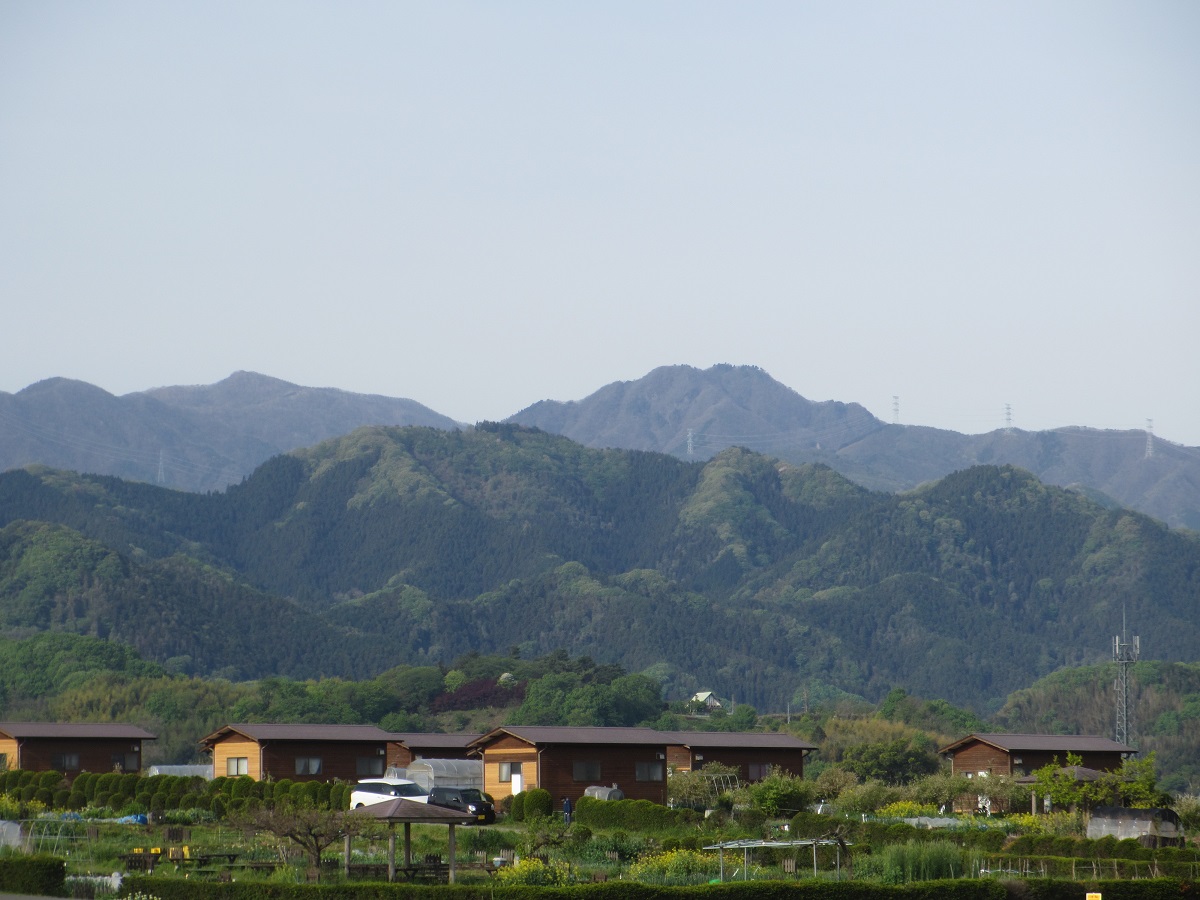 「甘楽ふるさと農園」から望む新緑の稲含山